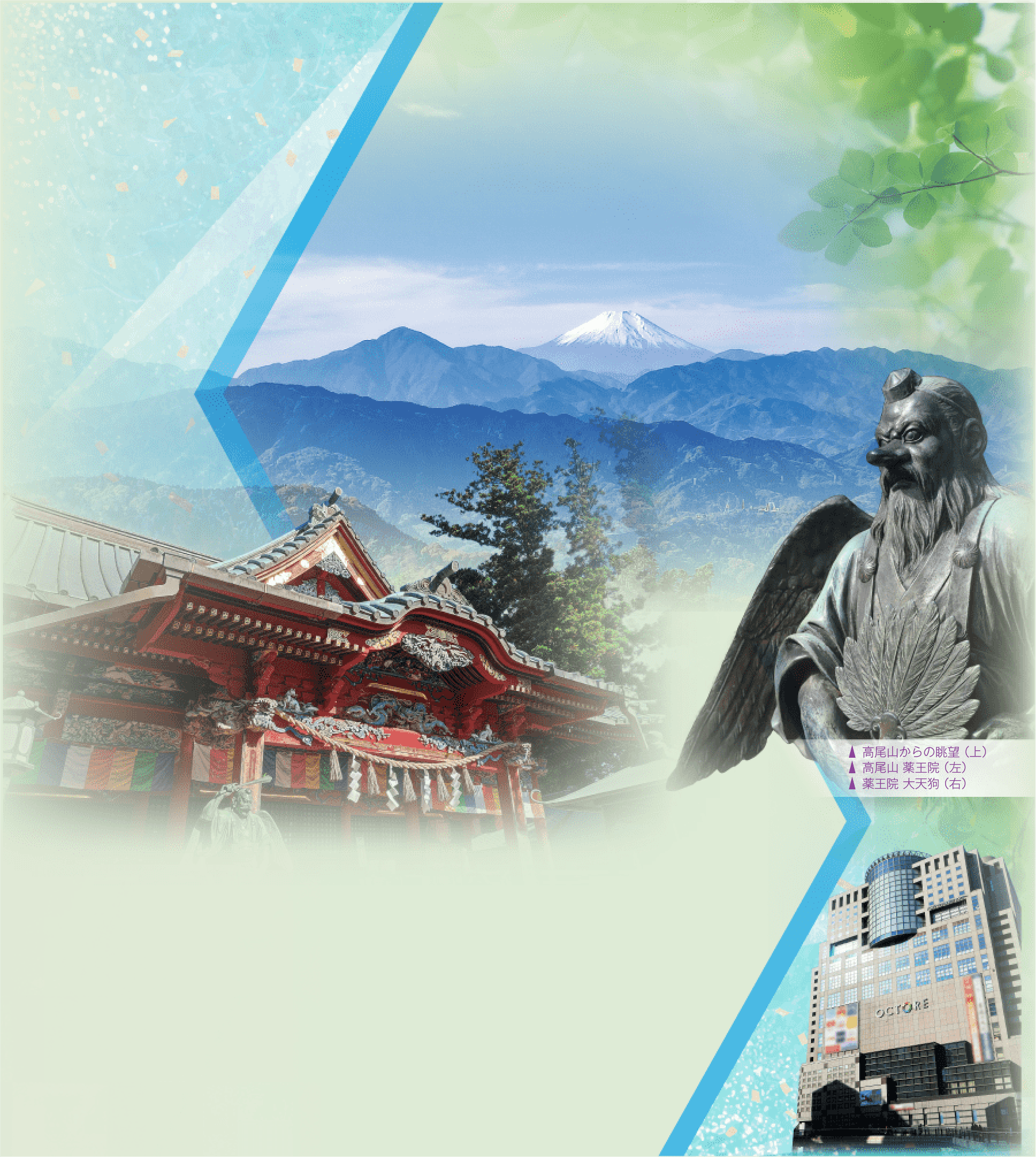 メタルバイオサイエンス研究会2025